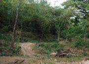 Misteri Kampung Gepolo yang Hilang Bak Ditelan Bumi: Perjalanan ke Misteri Tersembunyi di Prambanan