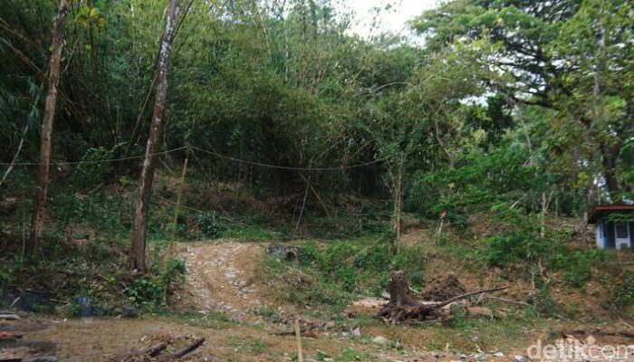 Misteri Kampung Gepolo yang Hilang Bak Ditelan Bumi: Perjalanan ke Misteri Tersembunyi di Prambanan