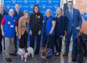 “Bandara AS Integrasikan Anjing Terapi untuk Mitigasi Stres Penumpang”