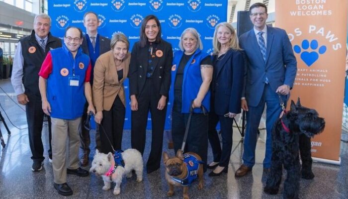 “Bandara AS Integrasikan Anjing Terapi untuk Mitigasi Stres Penumpang”