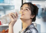 [Traveling di Musim Panas? 5 Tips Ini Bisa Selamatkan Perjalananmu!]