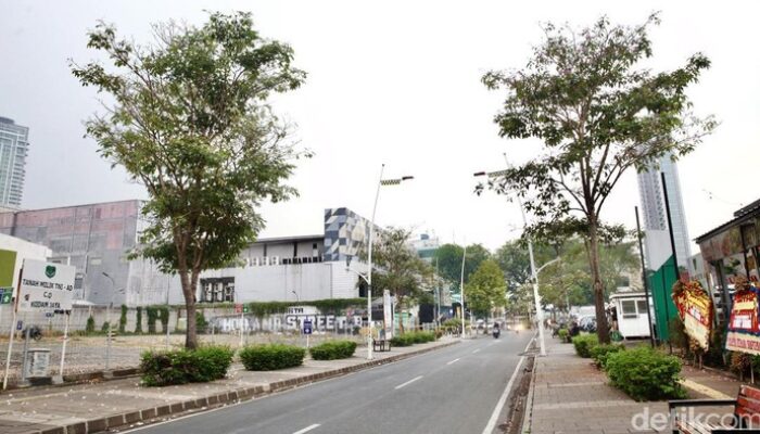 “Menyusuri Kemang Raya: Tempat Dimana Mewah Temukan Sejati Elegansi”