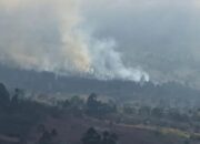 “Kawasan Hutan di Gunung Rinjani Kembali Terbakar! Apakah Traveler Perlu Khawatir?”