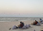 “Dilema Wisata: Anjing Liar Merusak Daya Tarik Bangka Belitung, Langkah Pemprov Membuat Heboh!”