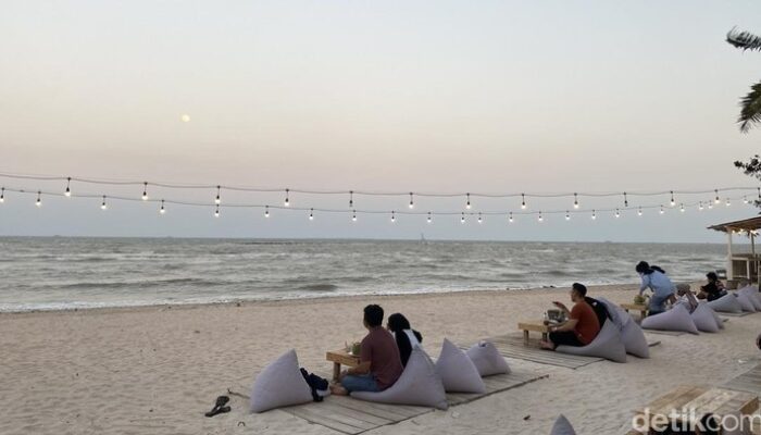 “Dilema Wisata: Anjing Liar Merusak Daya Tarik Bangka Belitung, Langkah Pemprov Membuat Heboh!”