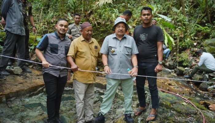 Geger! Temukan Batu Giok Raksasa Berat 5000 Ton di Hutan Nagan Raya, Aceh