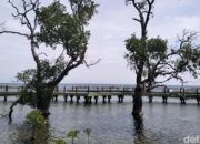 “Kepulauan Seribu yang Ternyata Tidak Seribu, Bisa Tetap Menarik Asal… 100+ Pulau, 1000+ Rasa!”