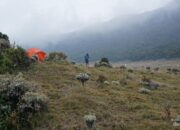 **Nekat! 36 Pendaki Takurangi Risiko, Pendakian Ilegal di Gunung Gede-Pangrango**