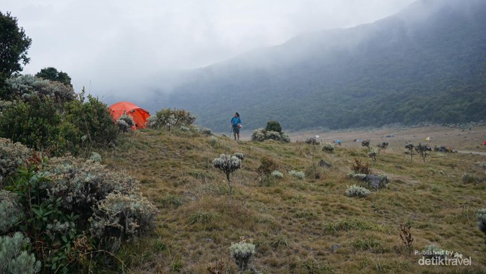 **Nekat! 36 Pendaki Takurangi Risiko, Pendakian Ilegal di Gunung Gede-Pangrango**