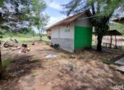 Malam Terbakar: Kisah Menjelma dari Lampu Lentera di Negeri Seribu Kebun