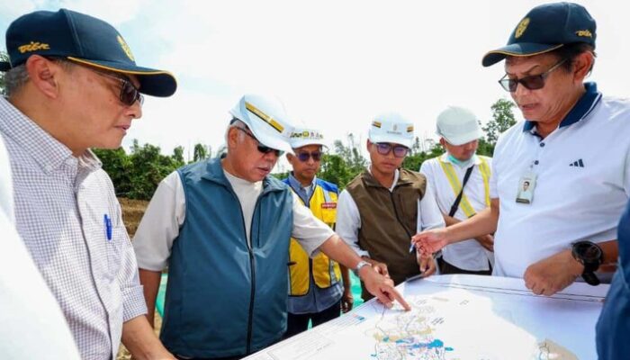 Basuki Pede IKN: Ibu Kota Politik 2028 atau Hantu Perkembangan?