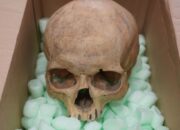 **60 Tahun Berlalu, Turis Ini Kembalikan Tengkorak Curian ke Katedral Austria**