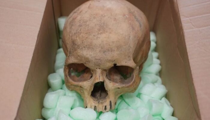 **60 Tahun Berlalu, Turis Ini Kembalikan Tengkorak Curian ke Katedral Austria**