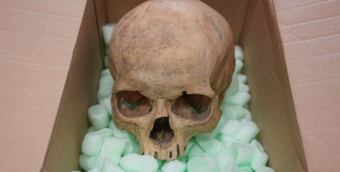 **60 Tahun Berlalu, Turis Ini Kembalikan Tengkorak Curian ke Katedral Austria**