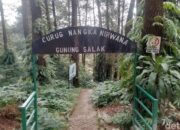 “Sensasi Baru di TN Halimun Salak: Harga Tiket Turun Mulai November, Ini Rinciannya!”