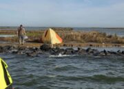 Turis Terdampar di Pulau Kosong, Bertahan 2 Hari dengan Hanya Keyakinan