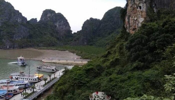 **Jelajahi Keindahan Geopark Vietnam, Destinasi Alam yang Diakui UNESCO**