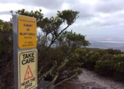 Lonjakan Turis di Bluff Knoll Memicu Naiknya Evakuasi, Risiko Apa yang Menunggu?