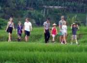 Pariwisata Naik Kelas di Indonesia: Destinasi Berkelanjutan yang Wajib Dikunjungi