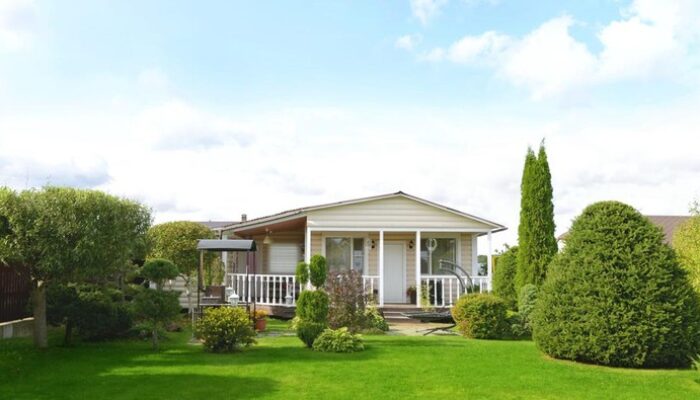 “Domba-Domba Berisik Hancurkan Kebahagiaan Liburan di Pedesaan”