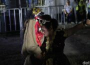 “Kisah Tari Berokan Indramayu: Tradisi Rakyat yang Kembali Bernyawa di Era Modern”