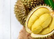 **Rasakan Kelezatan Durian, Identitas Nasional Malaysia yang Wajib Dikunjungi**