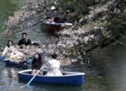 **Fix! Jepang Makin Mahal, Pajak Kedatangan Turis Bakal Naik: Rencana Overtourism dan Perubahan Biaya**