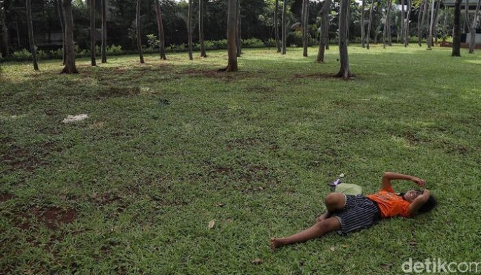 **7 Taman Eksotis di Jakarta Utara, Nikmati Liburan Gratis Bersama Keluarga**