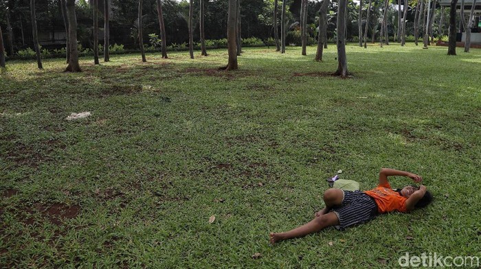 **7 Taman Eksotis di Jakarta Utara, Nikmati Liburan Gratis Bersama Keluarga**