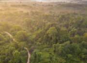 Tanah Ulayat dalam Ancaman, Masyarakat Adat Diminta Daftarkan demi Pelestarian!