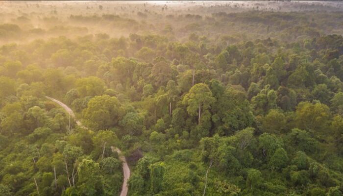 Tanah Ulayat dalam Ancaman, Masyarakat Adat Diminta Daftarkan demi Pelestarian!