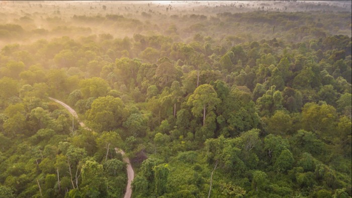 Tanah Ulayat dalam Ancaman, Masyarakat Adat Diminta Daftarkan demi Pelestarian!
