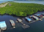 Kemenhut Janji Percepat Pengakuan 1,4 Juta Ha Hutan Adat, Sebuah Langkah besar untuk Cagar Alam Indonesia