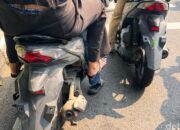 **Motor Tanpa Pelat Nomor Ditargetkan dalam Operasi Zebra Jaya 2025**