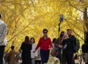 Eksplorasi Aman di China: Janji Pemerintah Setelah Peringatan Jepang