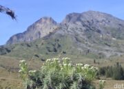 Tiket Pendakian Rinjani Naik, Tapi Wisatawan Tetap Berekspedisi