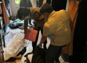 **Misteri Tragis Deqing Zhuoga di Hostel Canggu: Keracunan Pestisida dan Tak Ada Asuransi Kesehatan**