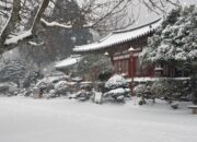 **Eksplorasi Dunia: Turis Indonesia Mencari Pengalaman Salju di Luar Negeri**