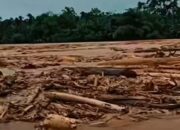 Sumut Dilanda Banjir Parah, Walhi Soroti Maraknya Deforestasi – Update 1