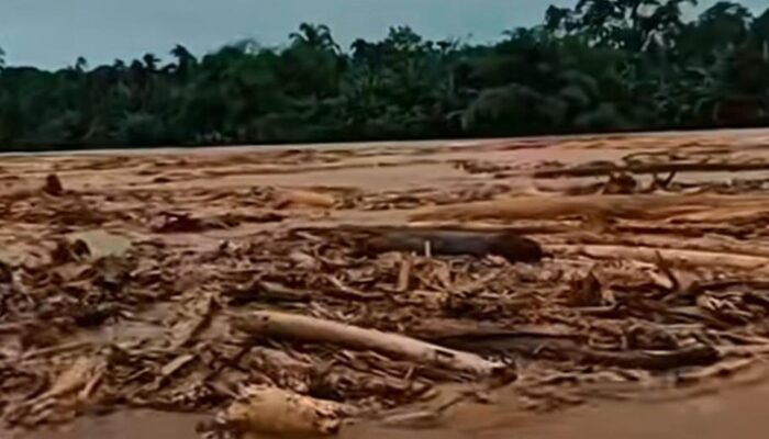 Viral Ribuan Kayu Gelondongan saat Banjir Sumut, Gubsu Bobby Terang-terangan Bicara!