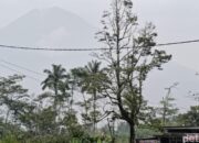 “Weleh! Erupsi Semeru Malah Menjadi Magnet Wisata yang Mengagumkan!”