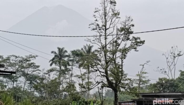 “Weleh! Erupsi Semeru Malah Menjadi Magnet Wisata yang Mengagumkan!”