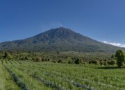 “Hutan Sumatera: Peringatan UNESCO – Siapakah yang Bertanggung Jawab?”