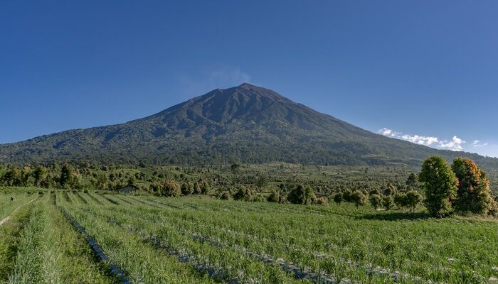 “Hutan Sumatera: Peringatan UNESCO – Siapakah yang Bertanggung Jawab?”