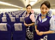 Nikmati Penerbangan Gratis ke Jepang dengan ANA, Hilangkan Overtourism!