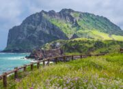 **Warga Jeju Mulai Kesal dengan Turis yang Berkemah: Kenali Pulau Jeju Sebelum Berkemah**