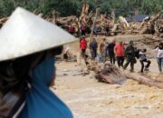 **Viral Aksi Penyelamatan Kucing di Banjir Sumatera: Kisah Haru yang Menginspirasi**