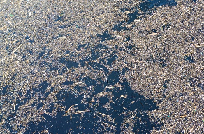 Tak Hanya ke Sungai, Kayu Gelondongan Juga Hanyut ke Danau Singkarak - Update 1