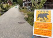 Waspadai Beruang di Kyoto: Rambu Multibahasa untuk Turis