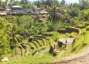 **Wayan Koster, Gubernur Bali, Berantas Alih Fungsi Lahan Pertanian: Sejuta Pesona Alam yang Terjaga**